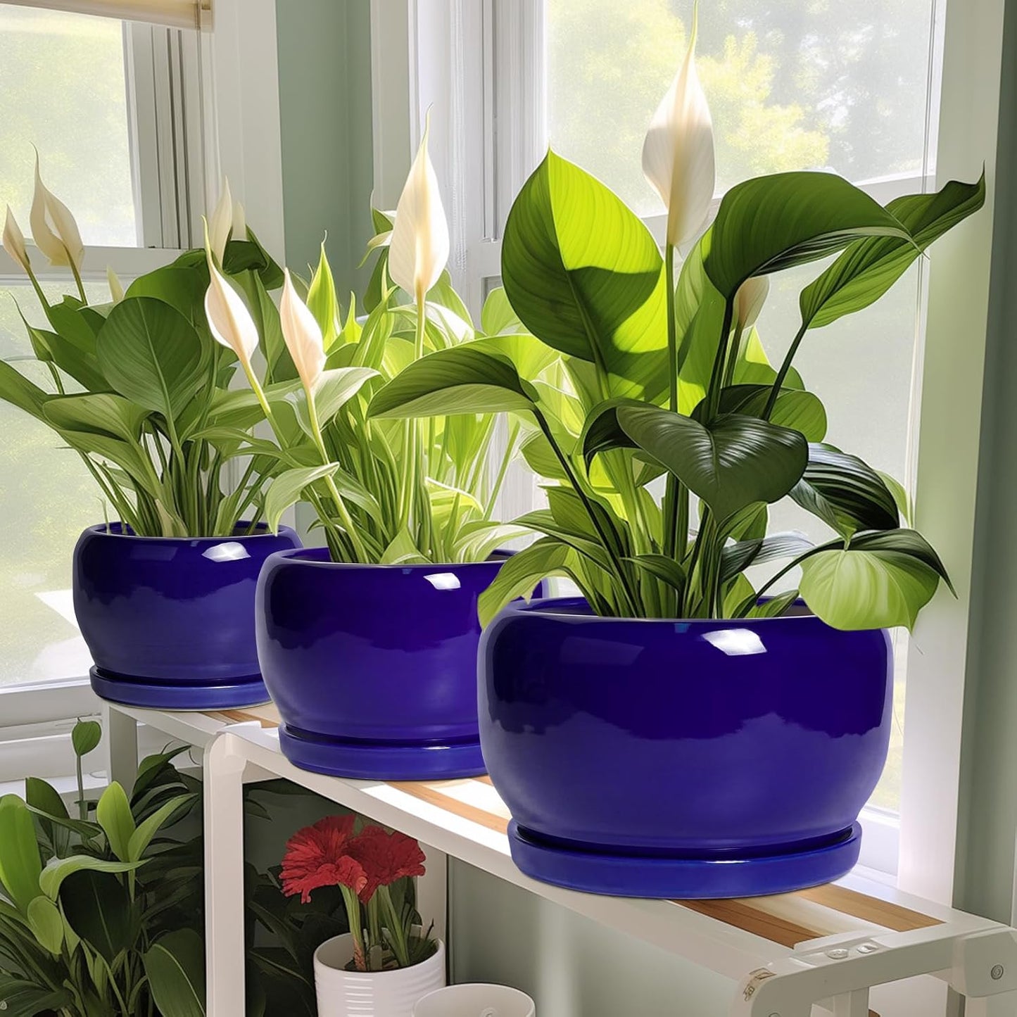 SQOWL Ceramic Plant Pot - 10 Inch Ceramic Planter for Indoor Outdoor, Round Flower Pot with Drainage Hole and Saucer, Modern Decorative Large Planter, Garden Decor, Plant Lover Gifts, Blue