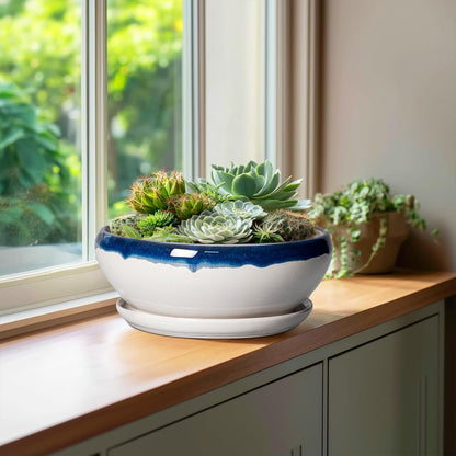 SQOWL Bonsai Pots - 10 Inch Ceramic Pots for Succulents Indoor Outdoor, Shallow Planter with Drainage Hole and Saucer, Round Succulent Planters Bowl, Kitchen Decor, Housewarming Gifts, Blue-Beige