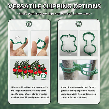 300 pcs Plant Support Clips, VEINARDYL Plastic Secured Garden Clips Trellis Clips for Climbing Plants Tomato Clips Vegetable Clips Flowers Stem Vine Fixing Clips for Plants Upright Outdoor Plants