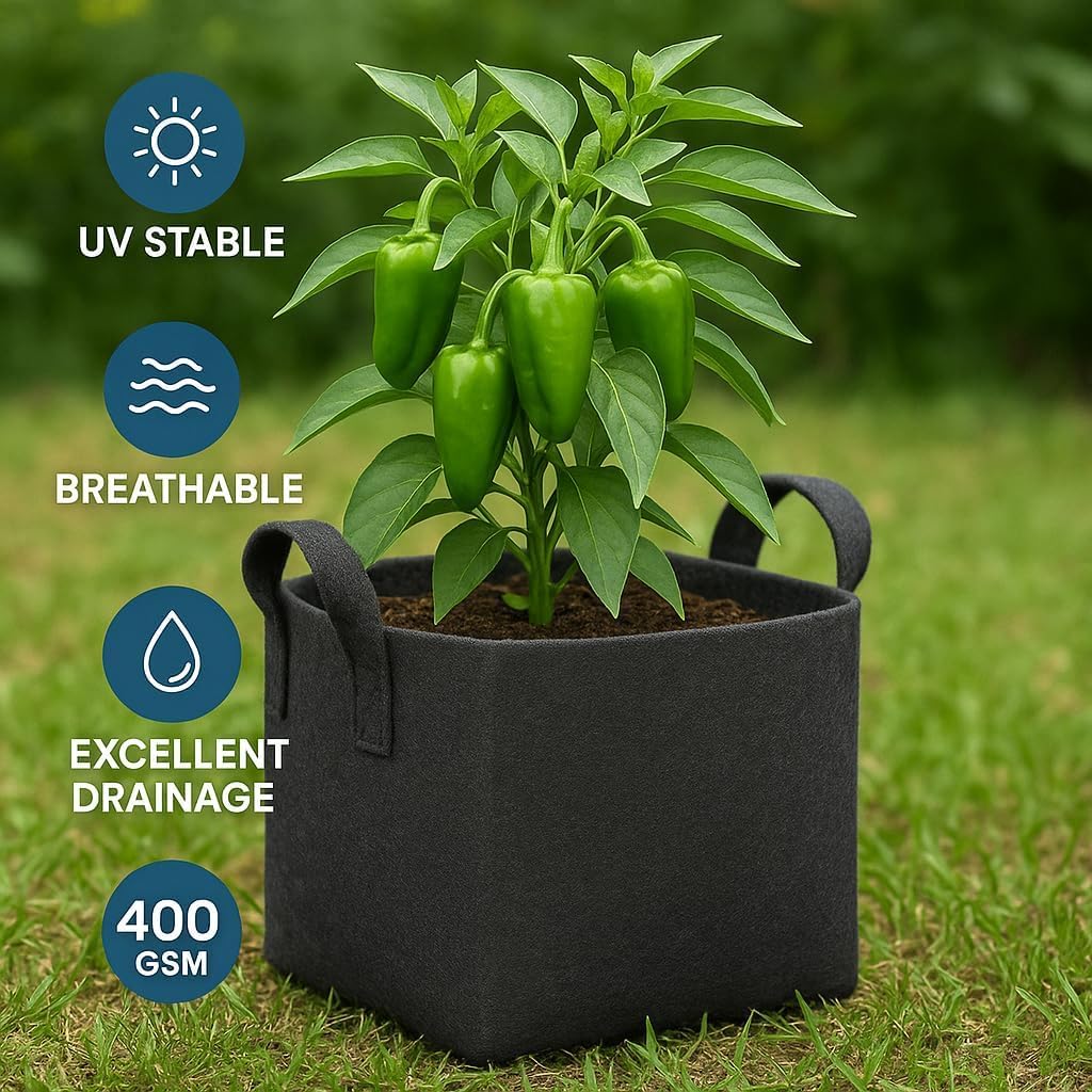 Square Geo Fabric Grow Bag 400 GSM Durable Breathable UV Resistant Reusable Plant Container for Herbs, Vegetables Flowers Space Saving Gardening Pack of 2 (Green, 15 inch) (Black)