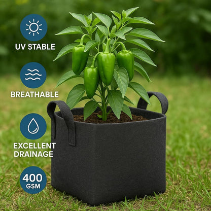Square Geo Fabric Grow Bag 400 GSM Durable Breathable UV Resistant Reusable Plant Container for Herbs, Vegetables Flowers Space Saving Gardening Pack of 2 (Green, 15 inch) (Black)