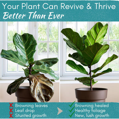Root Rot Repair for Houseplants – Recovery Drops Root Supplement for Overwatering or Shock | Heals Roots, Prevents Brown Spots & Dropping Leaves (8 oz)
