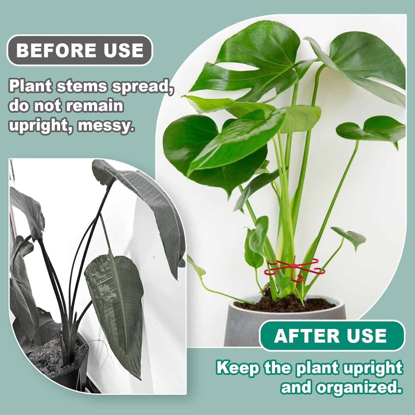 4PCS Plant Stem Support, 4 Sizes Climbing Houseplant Stem Holders, Plastic Reusable Flower Trellis Stem Hook Plant Care Growth Accessories for Flower Plants Indoor Outdoor- Red