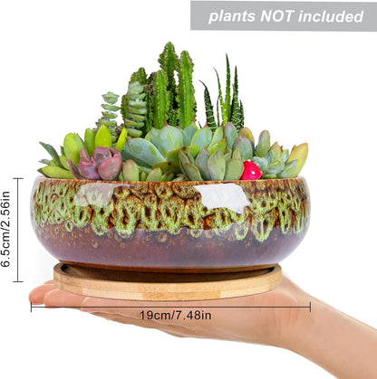ARTKETTY Succulent Pots - 7.5 Inch Large Plant Pot with Bamboo Tray, Shallow Bonsai Pots with Drainage, Ceramic Planter for Indoor Plants, Cactus, Home Office Desk Decor