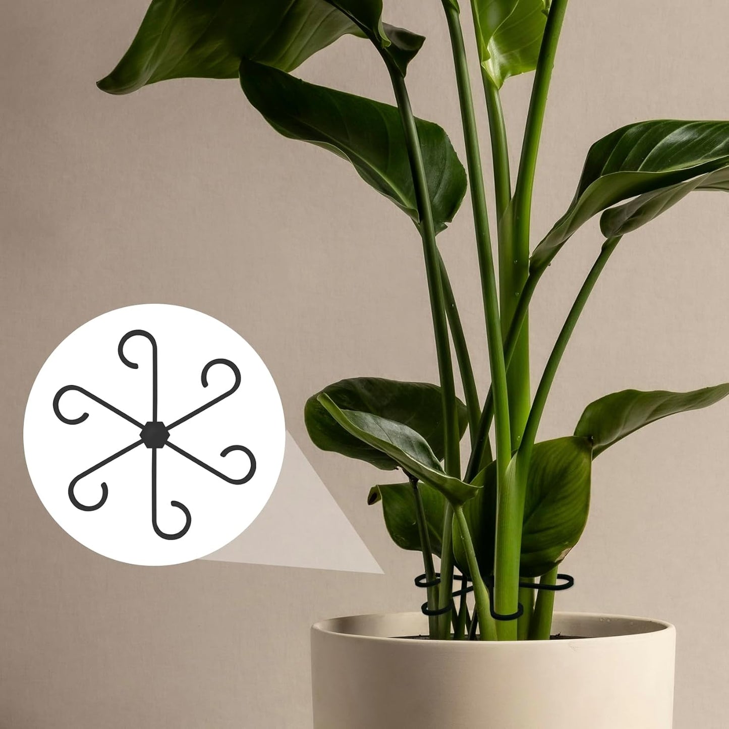 4PCS Plant Stem Support, 4 Sizes Climbing Houseplant Stem Holders, Plastic Reusable Flower Trellis Stem Hook Plant Care Growth Accessories for Flower Plants Indoor Outdoor - Black
