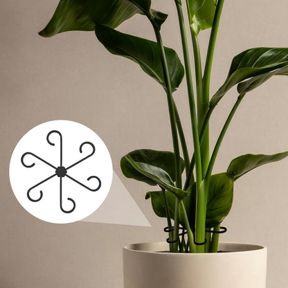 4PCS Plant Stem Support, 4 Sizes Climbing Houseplant Stem Holders, Plastic Reusable Flower Trellis Stem Hook Plant Care Growth Accessories for Flower Plants Indoor Outdoor - Black