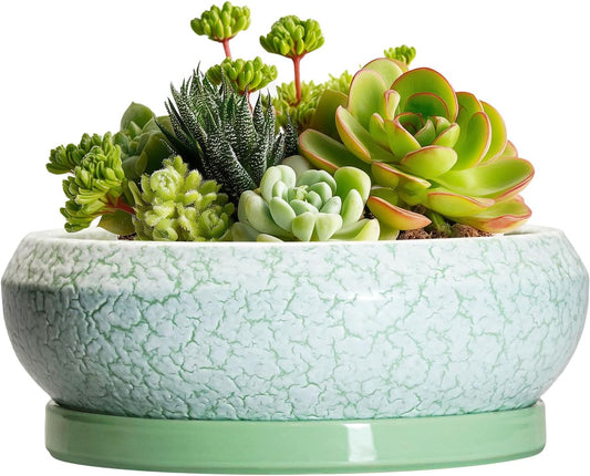 Succulent Pot 6 Inch - Ceramic Bonsai Pots Indoor Outdoor, Shallow Plant Pots with Drainage Hole and Saucer, Small Bonsai Planter, Round Bowl Planter, Desk Decor, Housewarming Gifts, Green