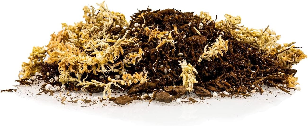 Gardenera Premium Orchid Mix by GARDENERA | Fern + New Zealand Pine Bark + Sphagnum Moss + Perlite | Best for Growing and Repotting Orchids - 1 Quart Bag
