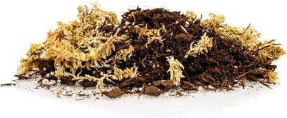 Gardenera Premium Orchid Mix by GARDENERA | Fern + New Zealand Pine Bark + Sphagnum Moss + Perlite | Best for Growing and Repotting Orchids - 1 Quart Bag