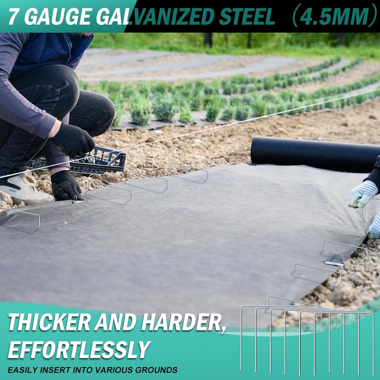50 Pack Heavy Duty Wide Landscape Staples, 7 Gauge Galvanized Steel Turf Stakes Garden Stakes Bulk, U Type Anchor for Grass, Securing Weed Barrier Fabric, Pipes, Sod (9"x7")