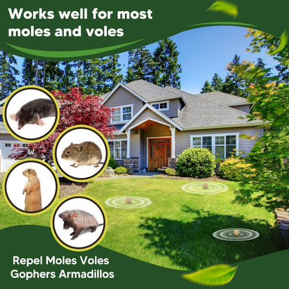 Mole Repellent Outdoor, Gopher Repellents, Vole Repellent for Lawn, Natural Groundhog Repellent, Safe for People & Pets, Mole Repellent for Lawn and Garden, 3 Months Protection -10P