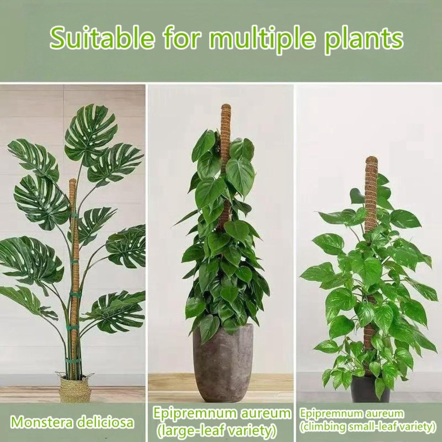 Moss Pole,2 Pack 27 Inch Monstera Plant Support, Upgraded 7mm Aluminum core Moss Poles for Climbing Indoor Plants DIY, Coco Coir Plant Pole Moss Plant Stick Support Stake Kit for Potted Plants Pothos