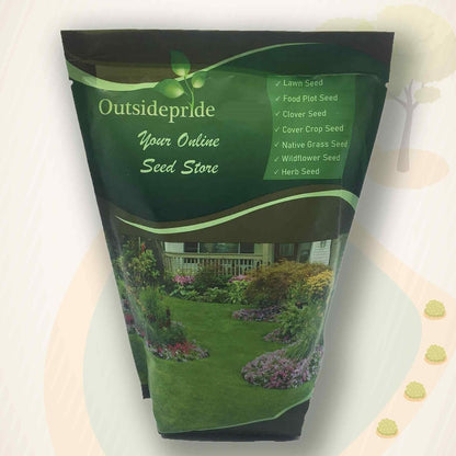 Outsidepride Ipomoea Alba Moonflower Seeds – 1 lb. Annual, Vining Flower Seeds for Planting, Fragrant Night-Blooming Climbers for Trellises, Moon Gardens, Night Pollinators & Outdoor Landscapes