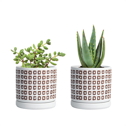 D'vine Dev Set of 2 Ceramic Planter Pots with Drainage Hole and Saucer, 4.5 Inch Plant Pots for Plants Indoor Houseplants, White, 99-Z-A-1-V