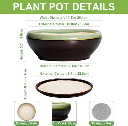 SQOWL Succulent Planters 10 Inch - Ceramic Bonsai Pots with Drainage Hole and Saucer, Shallow Indoor Planter, Round Succulent Pot, Bowl Planter Outdoor, Porch Decor, Gift for Plant Lover, Green-Brown