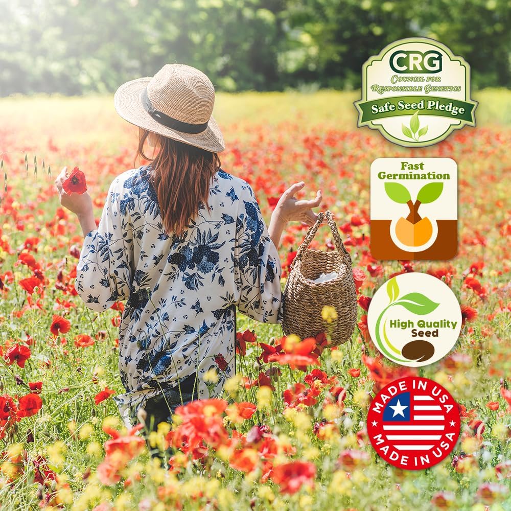 Parade of Poppy Wildflower Seeds - 1oz, Open-Pollinated Flower Seed Mix Packets, No Fillers, Annual, Perennial Wildflower Seeds, Year Round Planting - 1 oz