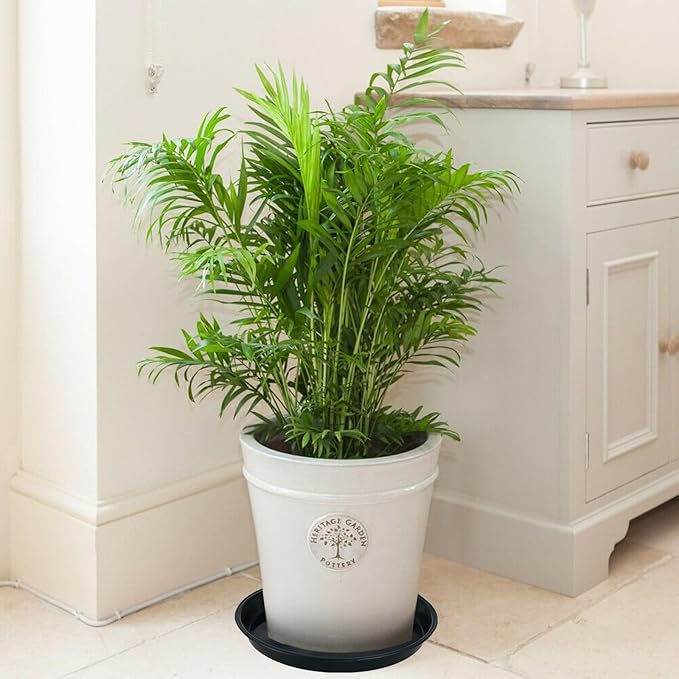 8 Pack Bottom 10 Inch Plant Saucers for Indoors Outdoors Plastic Plant Water Catcher Trays No Holes Round Flower Pot Drip Trays for Pots Base Heavy Duty Plant Pot Saucers Water Drainage Trays, Black