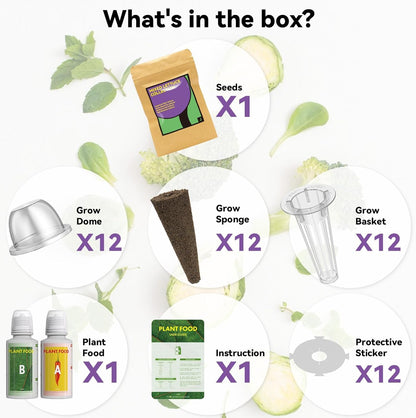 inbloom Salad Seed Pod Kit Compatible with AeroGarden, Ahopegarden, iDoo, MUFGA Hydroponics Growing System, 400+ Mixed Seeds with American Fast/Paris Island/Buttercrunch/Romaine Lettuce (12-Pod)
