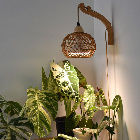 Bstrip Hanging Grow Lights for Indoor Plants, 18W Full Spectrum, Boho Rattan Lantern Shade, 3800K Wall-Mounted Decorative Plant Light with 9.8FT Power Cord, Ideal for Tall Plants, Flowers