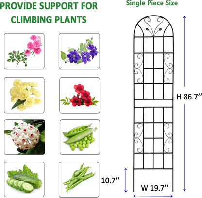 2 Pack Metal Garden Trellis 86.7" Tall Outdoor Climbing Plant Support for Roses, Flowers, Rustproof Durable Black Galvanized Tube, Lawn Garden Fence Decor Screen (2, Black curves-86.7" H)