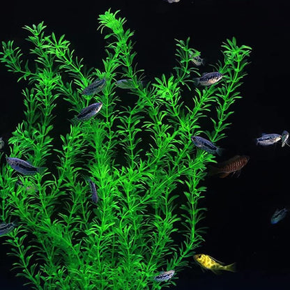 DSkoiph 2 pcs Aquarium Decor Plastic Plants Extra Large 21 Inches Artificial Fish Tank Plants Tall Fish Tank Decorations Artificial Green Water Plants (Green)