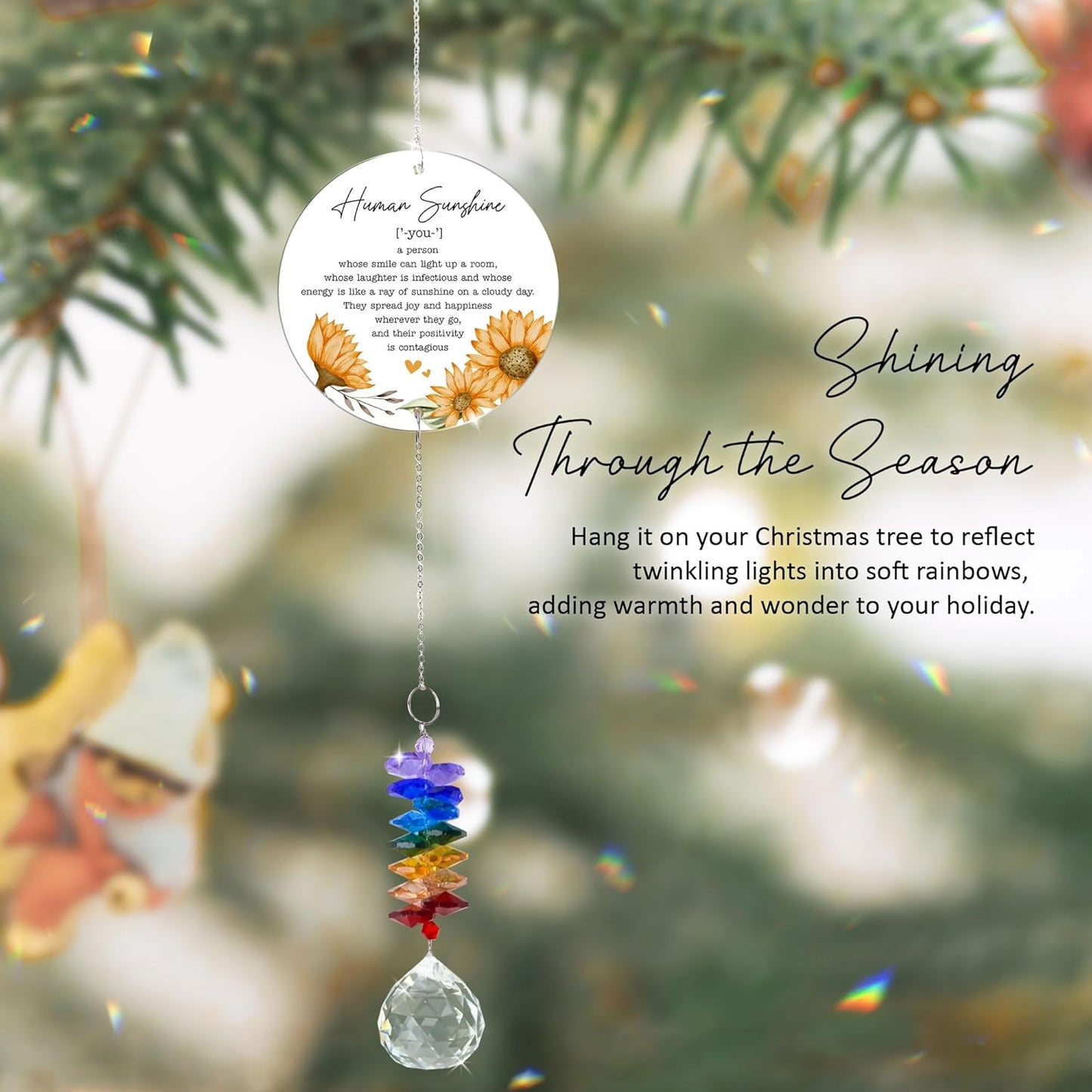 Thank You Gifts Human Sunshine Definition - Inspirational Rainbow Maker - Appreciation Keepsake - Positive Message for Nurses Teachers Volunteers Friends Family