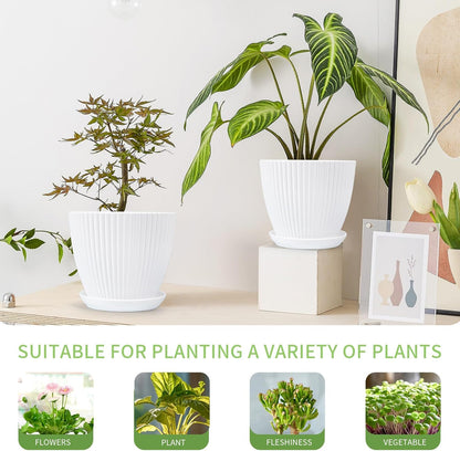 Plant Pots Indoor with Saucers & Drainage - 6 Pack Flower Pots - Plastic Planters for Indoor Planter - 7.5/6.6/5.8/5.0/4.3/3.5 inches Sizes for All Different Types of Plants - White