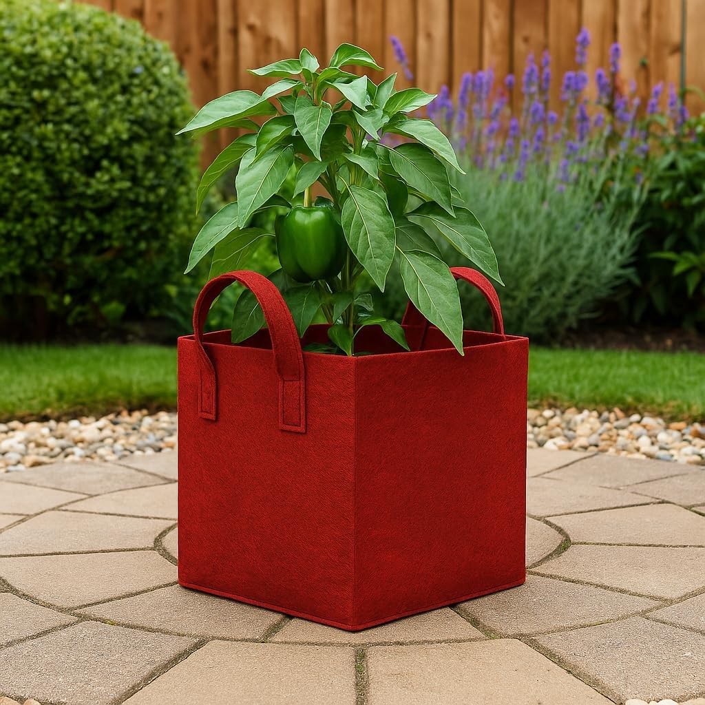 Square Geo Fabric Grow Bag 400 GSM Durable Breathable UV Resistant Reusable Plant Container for Herbs, Vegetables Flowers Space Saving Gardening Pack of 2 (Green, 15 inch) (Red)