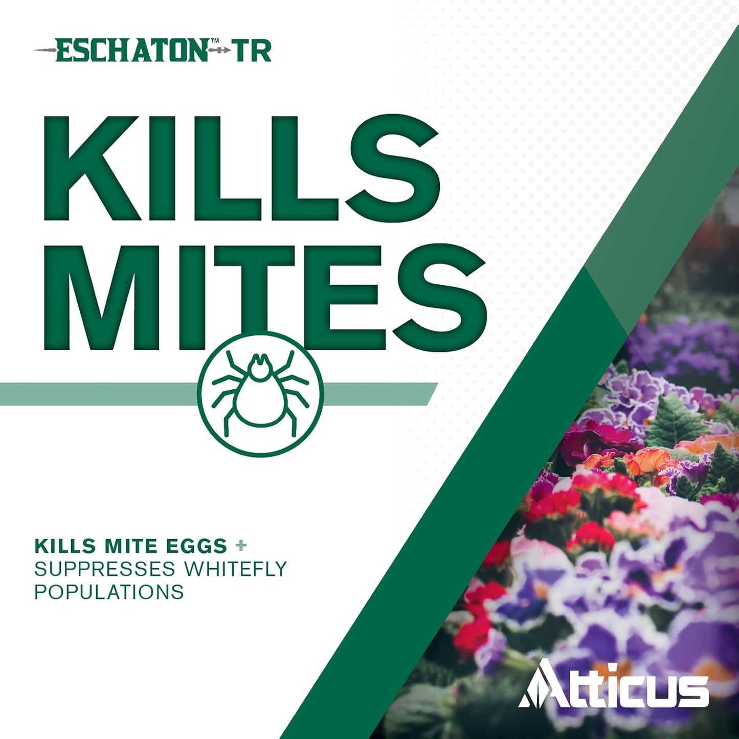 Atticus Eschaton TR Greenhouse Fogger (2oz Can) - Total Release Etoxazole Insecticide/Miticide - Kills Mites and Suppresses Whiteflies (12 Pack)