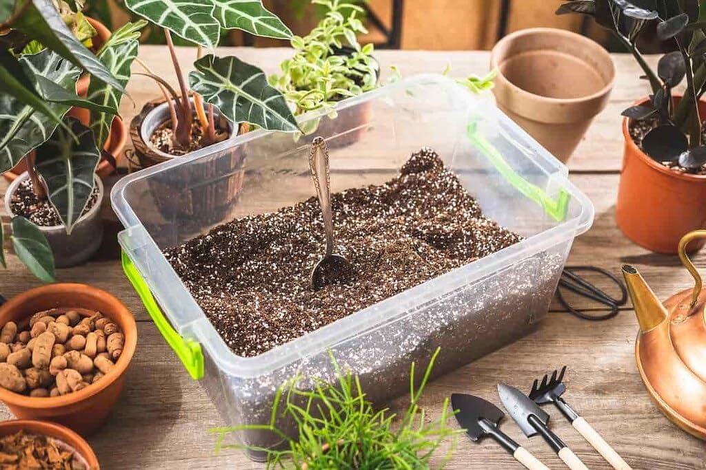 Elevate Your Space with Gardenera's Organic Potting Mix - Tailored for Thriving Calathea Plants and Captivating Leaves - 2 Quart