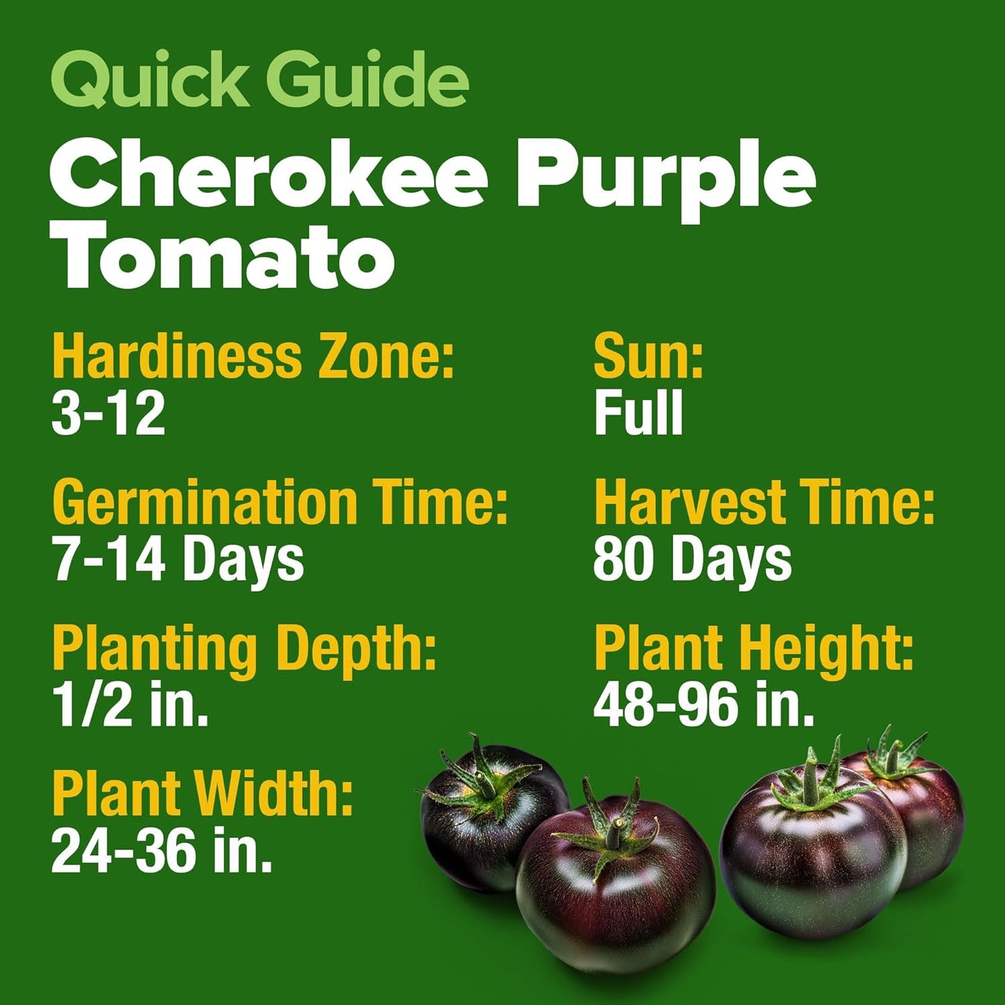 HOME GROWN Cherokee Purple Tomato Seeds 2 Pack (Solanum lycopersicum) - 212 Seeds, 𝗡𝗢𝗡-𝗚𝗠𝗢 𝗨𝗦𝗔-𝗦𝗢𝗨𝗥𝗖𝗘𝗗 Tomato for Planting - Heirloom Vegetable Seeds with High Germination Rate