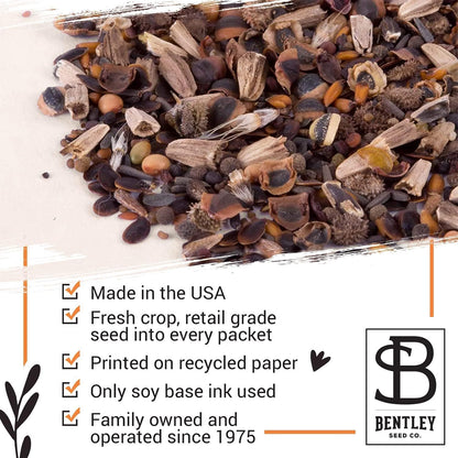 Bentley Seeds Co. Merry Christmas Wreath of Birds Holiday/Christmas Gift Tags | Non-GMO, Non Coated Bird & Butterfly Pollinator Wildflower Seed Mix | 25 Seed Packets