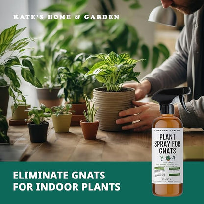Kate's Home & Garden Plant Spray for Insects & Getting Rid of Gnats with 12 Sticky Traps. Fungus Gnat Killer & Bug Spray for Indoor Plants (16oz, Peppermint, Pet Safe, Non Toxic)