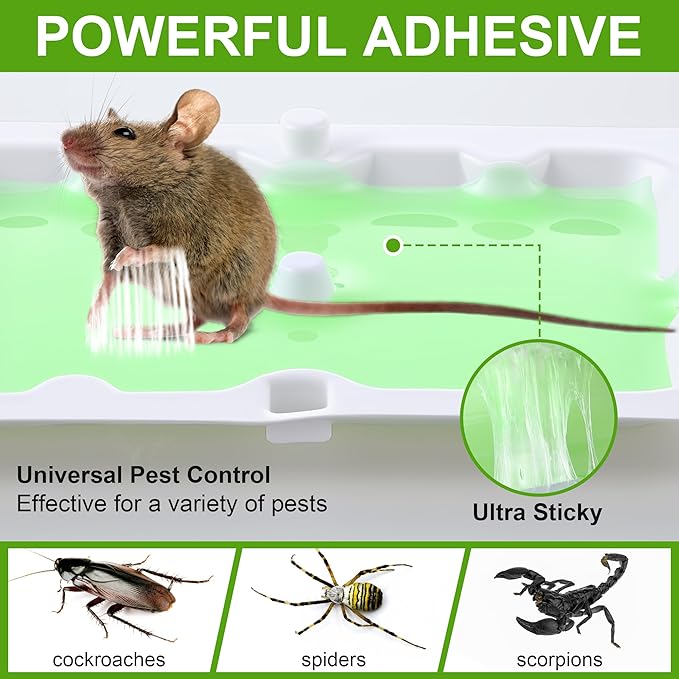 Qualirey 12 Pack Mouse Glue Trap, Super Sticky Traps Mouse Size for Mice and Rats, Pre-Scented, Non Toxic Mice Glue Boards, Rodent Sticky Pads Indoor for Home, Easy to Use, Pet Safe Pest Control