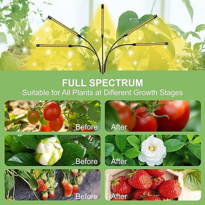 5-Head Adjustable LED Lights, Full Spectrum Grow Lamp with Timer, Warm White Light for Indoor Plants