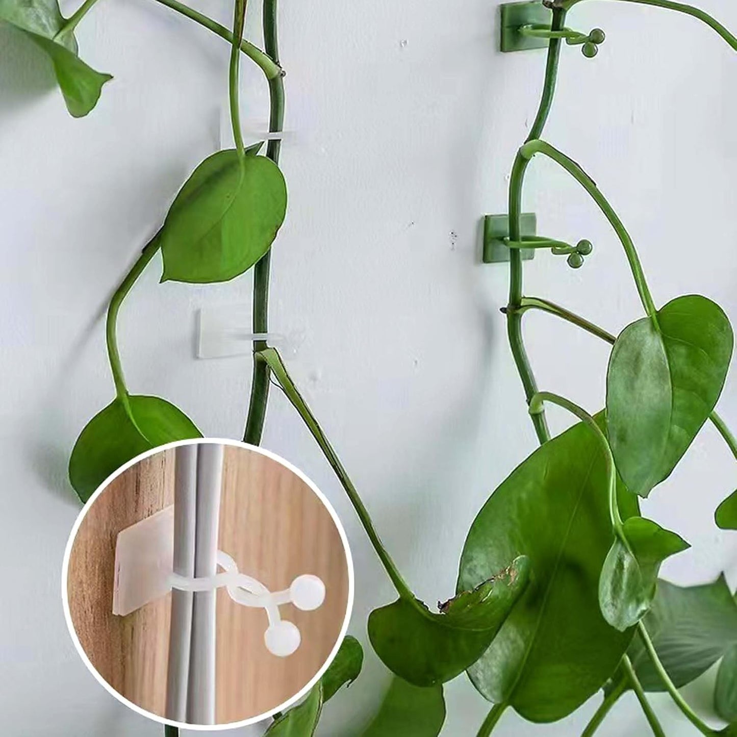 100Pcs Plant Vine Wall Clips Hooks for Climbing Plants, Invisible Self-Adhesive Plant Climbing Fixture Fixer Holder Wall Vine Hanging Clip Indoor Outdoor Cable Wire Fixing