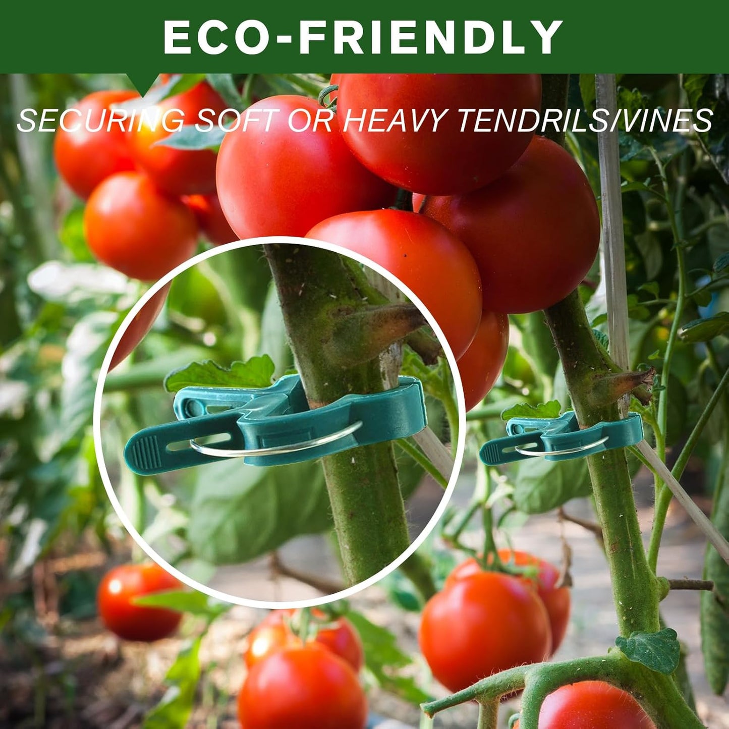 Plant Clips for Climbing Plants, Tomato Clips and Garden Clips for Vine Support, Plant Support Clips for Tomatoes and Garden use(Green, 60 Small)