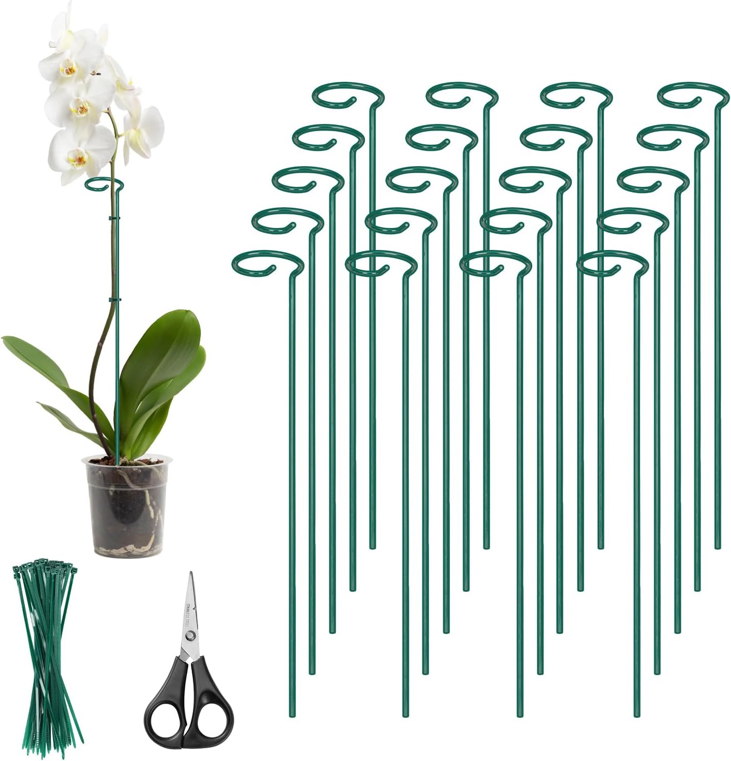 Kingsyard 16 Inch Plant Support Stake - 20 Pack, 4.5mm Thick All Metal Garden Plant Support Stakes for Outdoor Plants Single Stem Flowers Dahlia Lily Rose Peony Hydrangea Tomatoes Sunflower Gladiolus