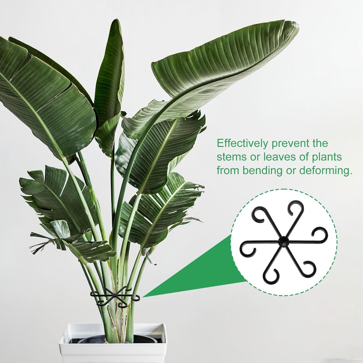 HARFINGTON 8pcs Plant Stem Support 4 Sizes Climbing Houseplant Stem Holder Stakes Reusable Flower Trellis Plant Stand for Outdoor Indoor, Black