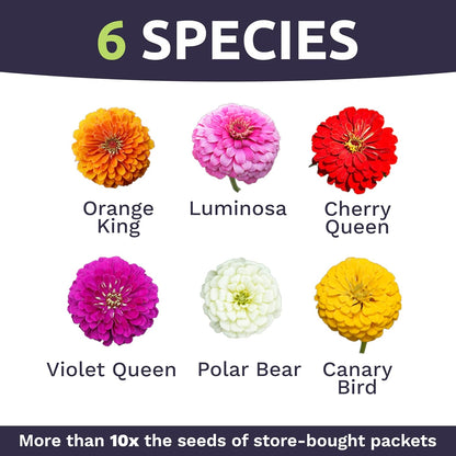 Bulk Zinnia Seeds - California Giants Mix - 5 Pounds - Over 240,000 Flower Seeds - Mixed Colors and Large Blooms