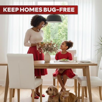 XFasten Window Fly Traps Sticky Clear 50-Pack Fruit Fly Traps for Indoors Sticky, Residue-Free, Odorless, Discreet Adhesive Indoor Catcher for Fruit Flies Houseflies, Gnats on Windows Kitchen Garage