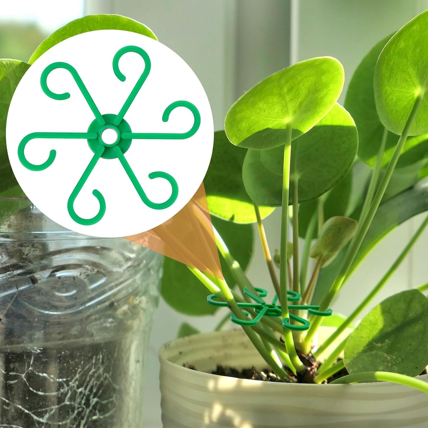 3PCS Plant Stem Support, 3 Sizes Climbing Houseplant Stem Holders, Plastic Reusable Flower Trellis Stem Hook Plant Care Growth Accessories for Flower Plants Indoor Outdoor- Green