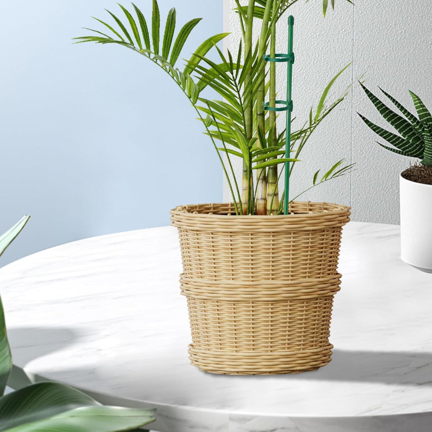 20-Piece Set of Adjustable Plant Stakes with Clips and Connecting Pipes for Orchids Roses Tomatoes and Other Single-Stem Flowers Measuring 11.8 Inches