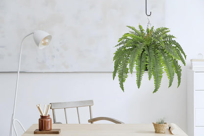 Hollyone 33" Artificial Boston Fern Hanging Basket Large 39 Leaves Fake Ferns in Rattan Pot Greenery Plants for Outdoors & Indoor Faux Fern Bush Basket Plant Patio Garden Home Decor Dusty Green