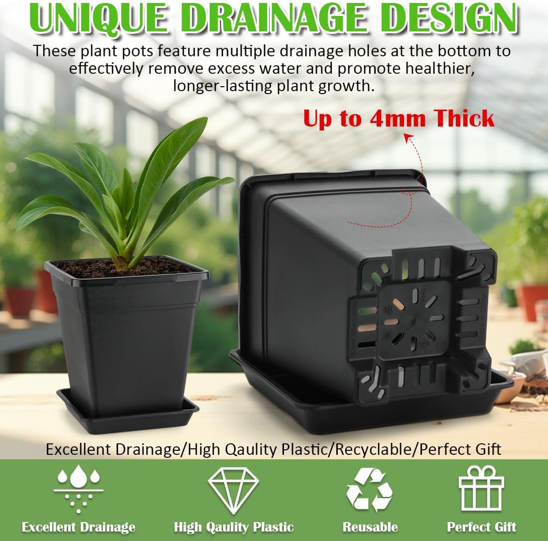 6 inch Plant Pots, 10 Pack Flower Pots Outdoor Indoor, Square Plastic Planter with Drainage Holes and Saucers, 0.5 Gallon Planter Pots for Plants Deep Capacity Garden Pot Container with Tray