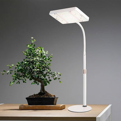 Tabletop Grow Light LED Full Spectrum UV IR, Veg Seed Starting Seedlings Bonsai Houseplant Plant Light, Desk Grow Lights for Indoor Plants, 16"-24" Height Adjustable