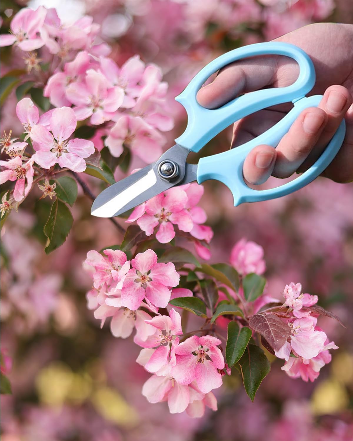 Flower Scissors - Stainless Steel Floral Scissors, Florist Cutters for Stems, Garden Plant Shears for Fresh Flowers (Blue, Pink) (1 PC Pink)