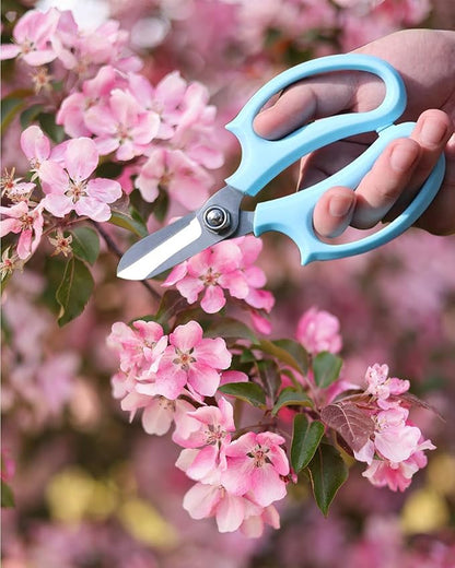 Flower Scissors - Stainless Steel Floral Scissors, Florist Cutters for Stems, Garden Plant Shears for Fresh Flowers (Blue, Pink) (12 PCS)