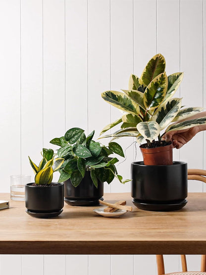 LE TAUCI Ceramic Plant Pots, 4.3+5.3+6.8 inch, Set of 3, Planters with Drainage Hole and Saucer, Indoor Flower Pot with Hole Mesh Pad, Gifts for Mom, Black