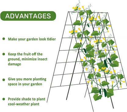 AGTEK 30" x 56" Foldable Cucumber Trellis with Zip Ties Plant Support A Frame Metal Trellis for Climbing Plants, Cucumber, Vegetable